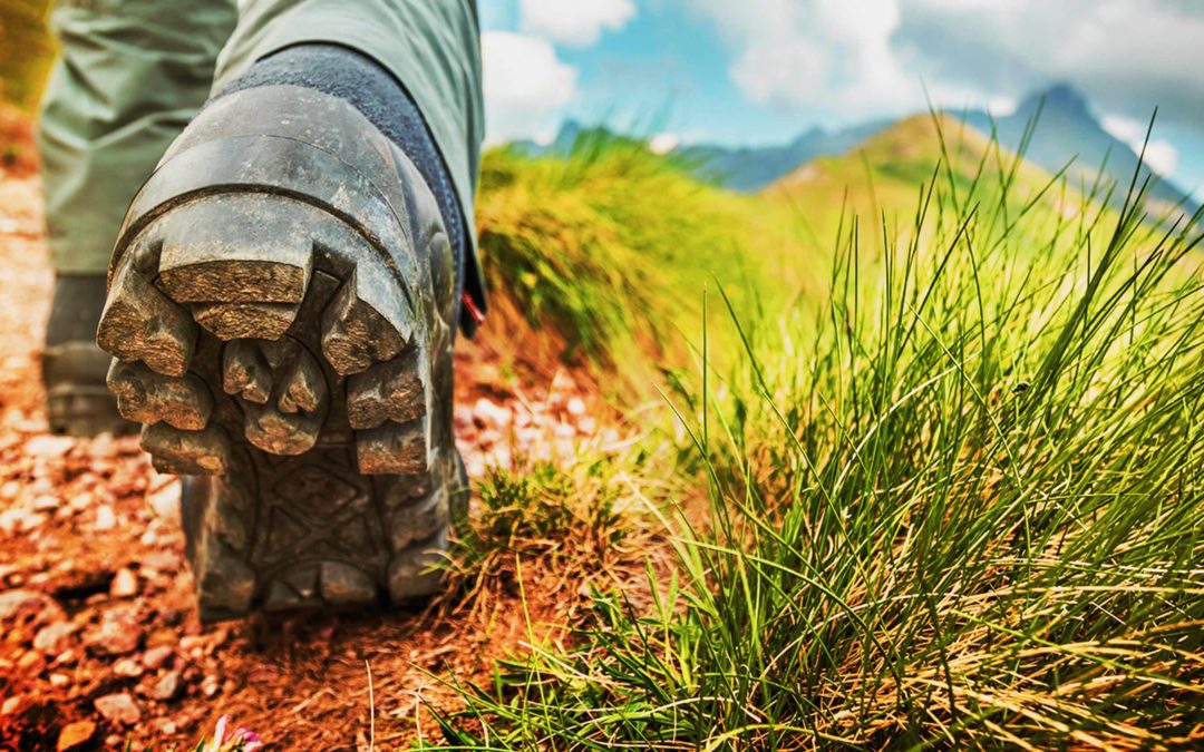 ¿Cuáles son las principales rutas del Camino de Santiago?