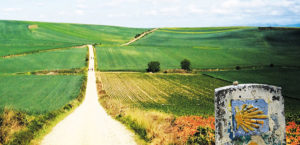 origen-camino-de-santiago