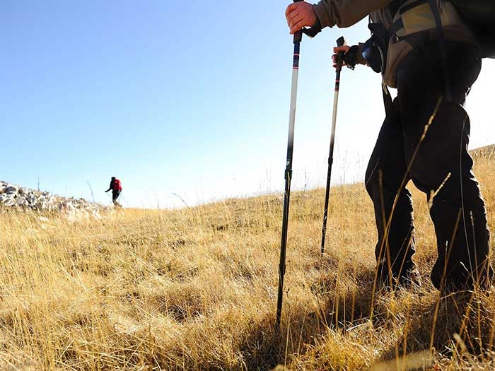 ¿Utilizar bastón / bordón en el Camino de Santiago? ¿Qué opinas?