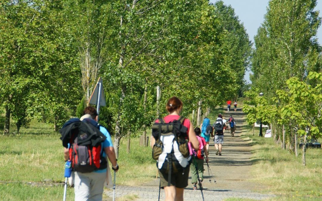 ¿Por qué el Camino de Santiago es considerado Patrimonio de la Humanidad?