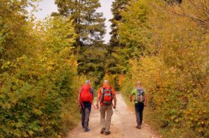Camino Francés desde roncesvalles, Astorga y sarria